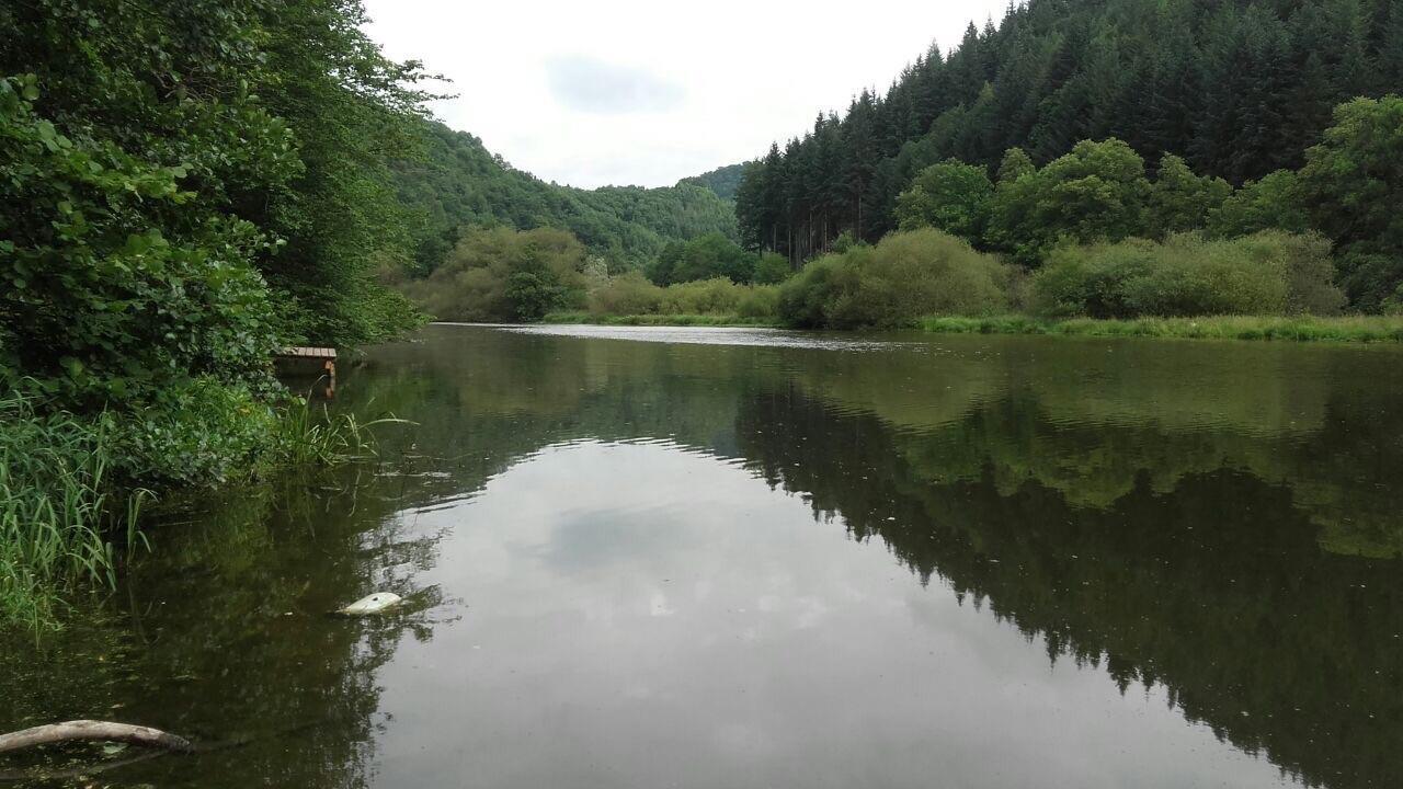 Ferienwohnungen "Am Fuerstenweg" ノイヴィート エクステリア 写真