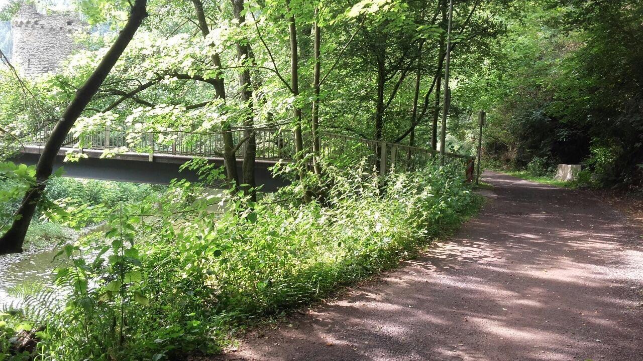 Ferienwohnungen "Am Fuerstenweg" ノイヴィート エクステリア 写真